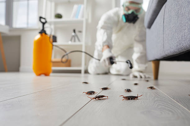 Commercial Kitchen Cockroach Control in Fort Madison